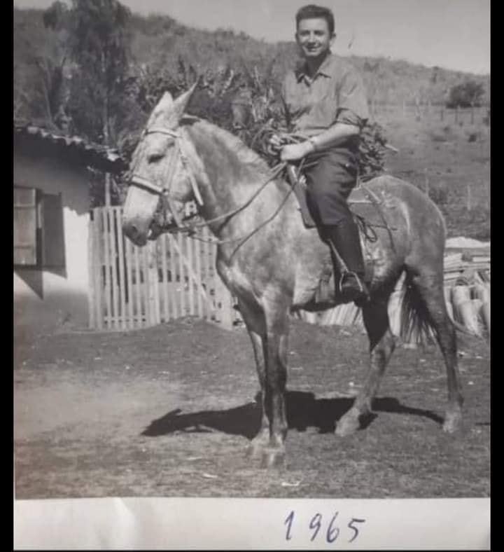 Don Gianni 1